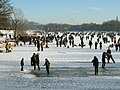 Obersee Januar 2009 mit Viadukt. Letzter Winter vor der Bachumleitung