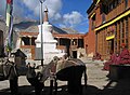 Inside the courtyard of Rangdum Gompa