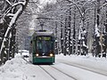 * Nomination Le tram n°4 passant dans Munkkiniemen puistotie, à Helsinki (Finlande) en janvier 2010 --WikiLucas00 22:15, 24 October 2024 (UTC) * Decline  Oppose A little blurry. --DimiTalen 13:23, 25 October 2024 (UTC)