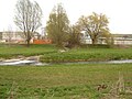 the creek Lutter flowing into the Leine