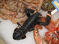 Homarus gammarus on a fish market stall