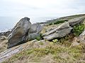 Affleurements de gneiss sur une falaise entre les plages de Mesperleuc et Gwendrez 2