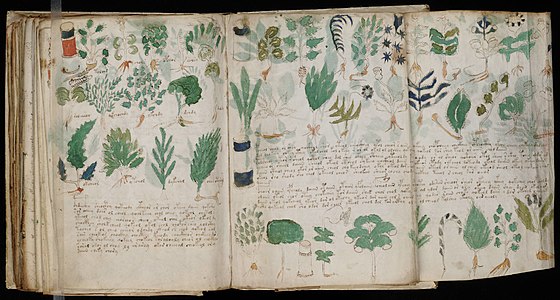 Voynich Manuscript, page 178