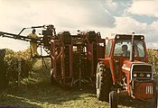 Grape Harvester