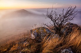 Ранковий туман над пагорбами