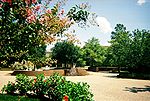 Thumbnail for File:TAMU Chemistry Plaza.jpg