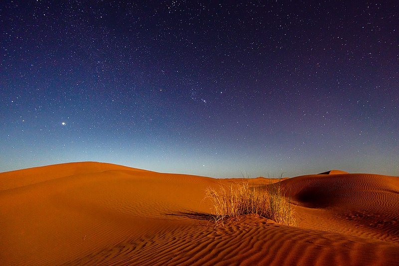 File:Moonlight in the Sahara.jpg