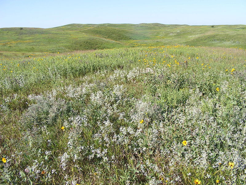 File:Prairie hills (11055423695).jpg