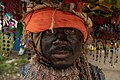 * Nominācija: Close Shot of Gond Tribesman showing the facing Makeup for the Gussadi dance by User:Pdp79892 --I.Mahesh 07:59, 3 January 2025 (UTC) * * Nepieciešama recenzija