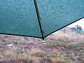 Rain on an umbrella from passing showers.