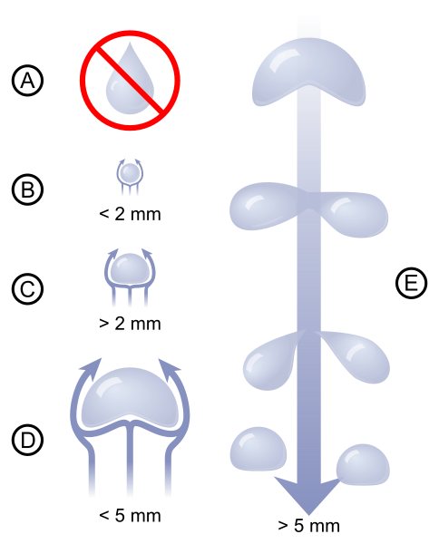 File:Raindrops sizes.svg