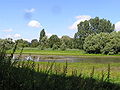 Nature reserve Kühkopf-Knoblochsaue