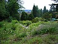 Im Botanischen Garten