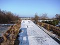 Das ehemalige Landesgartenschaugelände in Memmingen im Januar 2009