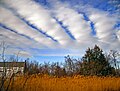 Stratocumulus stratiformis radiatus undulatus perlucidus