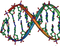 DNA stub.png 9570