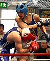 osmwiki:File:Boxing in Germany.jpg