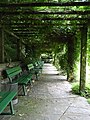 Laubengang im Botanischen Garten