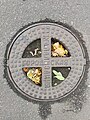 * Nomination: A manhole cover --Lvova 14:22, 24 October 2024 (UTC) * * Review needed