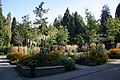 Arboretum at the Johannisfriedhof