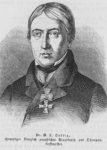 File:Georg Ludwig Hartig.jpg