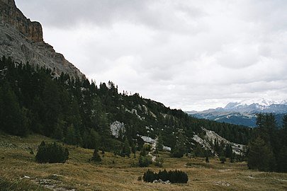 view from Armentara (Wengen)