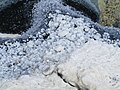 Salt-covered stones at Dead Sea