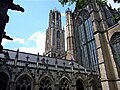 Utrecht Cathedral from the cloisters