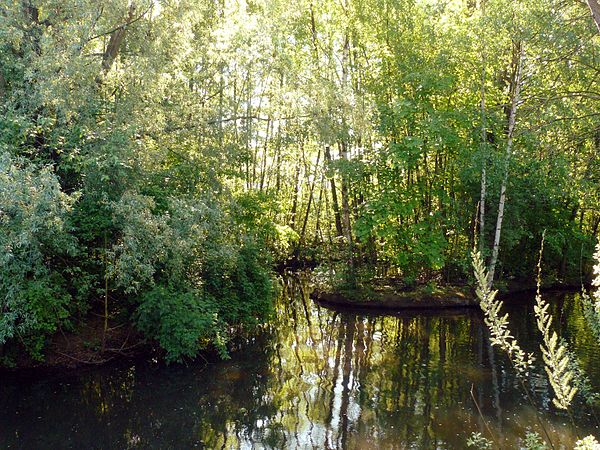 Biotop in der Mündung des Goldbachs in die Pegnitz