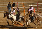 Thumbnail for File:Andy Devine Rodeo.jpg