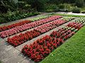 Darstellung der Mendelschen Vererbungslehre im Botanischen Garten