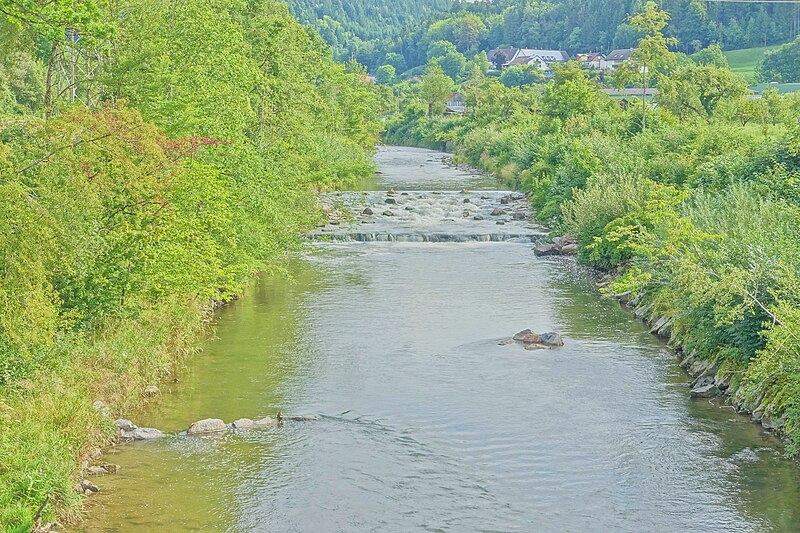 File:Stühlingen Naturschutzgebiet Auäcker Bild 9.jpg