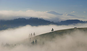 Carpathian Biosphere Reserve