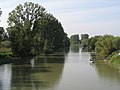 Nature reserve Kühkopf-Knoblochsaue, old rhine near Stockstadt