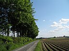 * Nomination: Ingooigem (West Flanders, Belgium): the countryside and the slopes of the Tiegemberg hill. -- MJJR 20:52, 8 July 2008 (UTC) * * Review needed