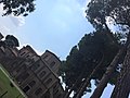 Thumbnail for File:SAN VITALE 1.jpg