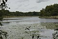 Der Bohnenländer See von Osten nach Nordwesten gesehen