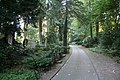 Avenue at the Johannisfriedhof