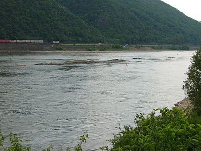 Geisenrücken unterhalb Oberwesel - km 550