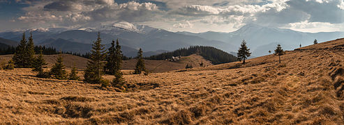 Hoverla and Petros. Carpathian National Park