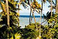 Coral Coast of Viti Levu