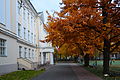 Miina Härma Gymnasium