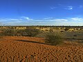 Kalahari Wüste, zwischen Mariental und Grenze zu Botswana