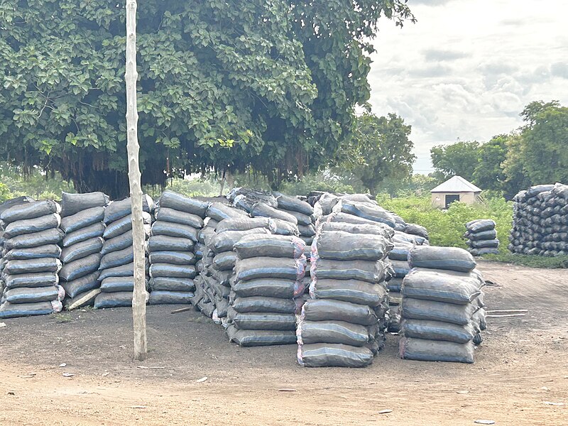 File:Parked Charcoal.jpg