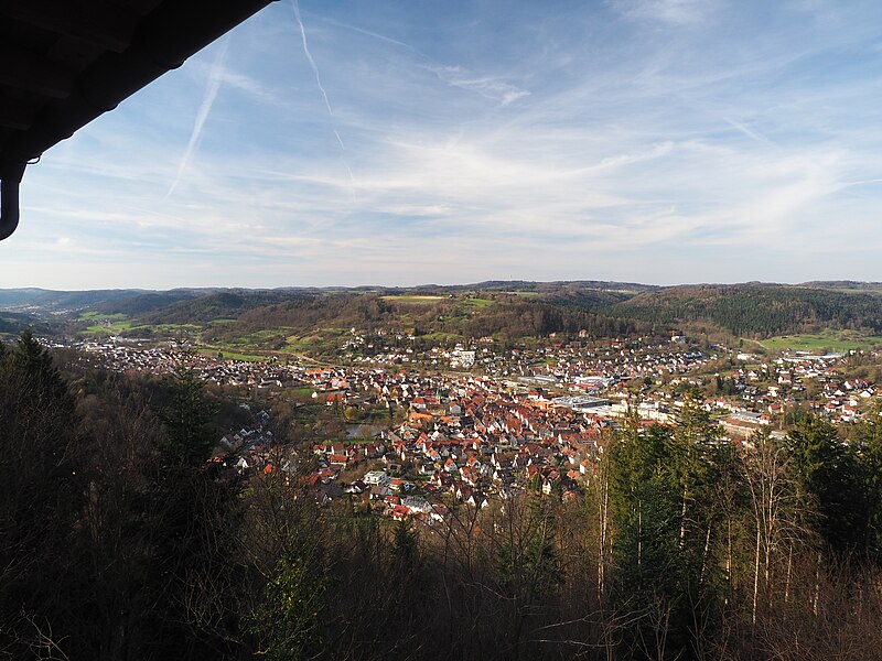 File:View from Riesbergturm 03.jpg