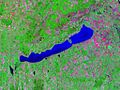 Lake Balaton - Landsat satellite photo (circa 2000)