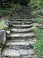 Steintreppe im Botanischen Garten