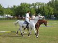 Ludger Beerbaum at CHIO Aachen 2004.