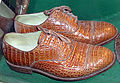 Shoes made from real crocodile skin, in a conservation exhibit in Bristol Zoo, England