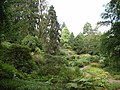 Im Botanischen Garten